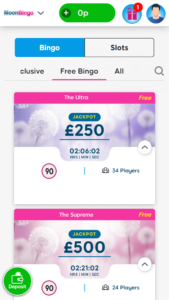 Moon bingo bingo games screenshot