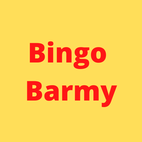 bingo barmy logo