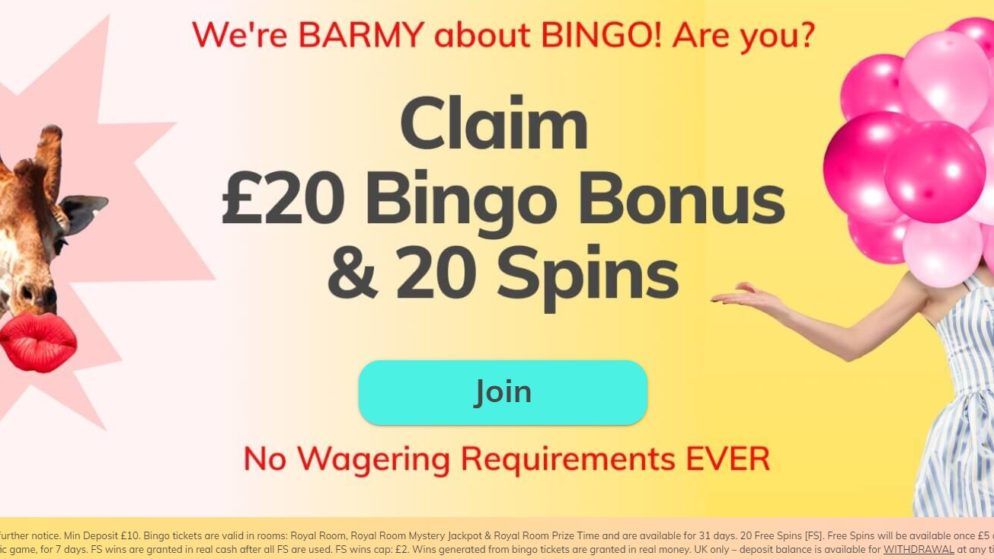New Bingo Site Bingo Barmy Launched