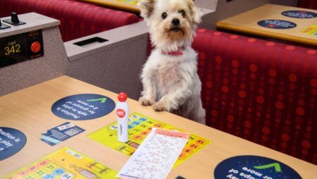 Buzz Bingo Trials First Ever Dog Bingo
